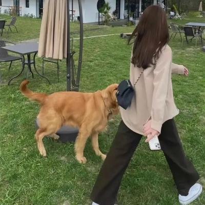 灵域第四季
